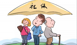 怎样查社保交了多少年 怎样查社保交了多少年明细