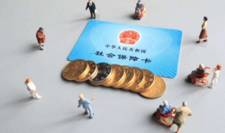 买了社保用不了怎么办 交了社保为什么社保卡不能用