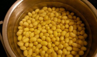 泡黄豆做法窍门（泡黄豆做法窍门图片）