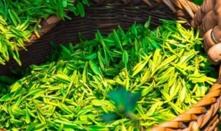 喝绿茶有什么好处与坏处（喝绿茶有什么好处坏处,绿茶有保质期吗?）