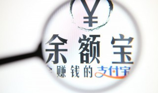 怎样登录支付宝主页 怎样登录支付宝主页账号