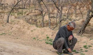守村人是什么意思（每个村都有守村人是什么意思）