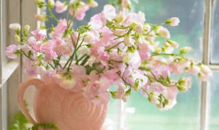 鲜花怎么保存更长（鲜花怎么保存更长久）