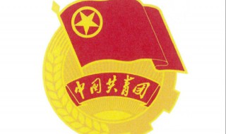 政治面貌怎么填?（政治面貌怎么填才正确）