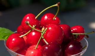 吃羊肉能吃樱桃吗（吃羊肉能吃樱桃吗百度百科）