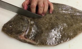 多宝鱼如何清洗（多宝鱼如何清洗干净）