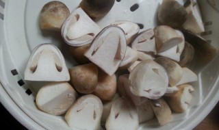 如何清洗草菇 如何清洗草菇最干净