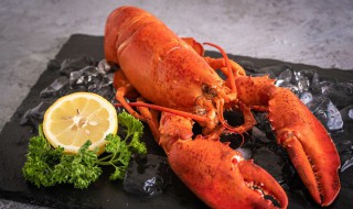 波士顿龙虾如何清洗（如何做波士顿龙虾好吃又简单的做法窍门）
