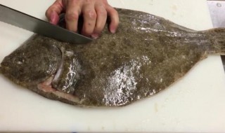 如何清洗多宝鱼 如何清洗多宝鱼的鳞片