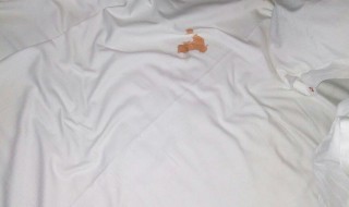 如何清洗床垫上的血迹床垫上的血迹（怎么去除床垫上的血迹 – 糗问）