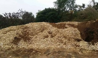 有机肥制作方法（菌渣有机肥制作方法）