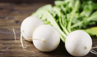 青萝卜的种植方法和时间 青萝卜的种植方法和时间图片