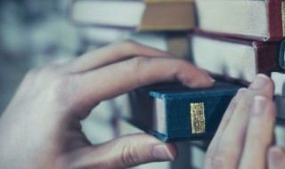 什么是网格化管理 什么是网格化管理模式