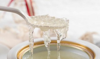 6个真假燕窝的鉴别方法 雪燕长在什么树上图片