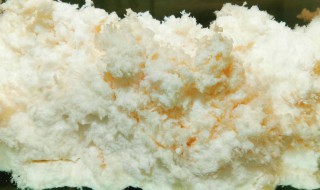 石太岁的鉴别方法 石太岁怎么样鉴别好坏