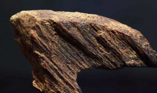 沉香木的鉴别方法（沉香木的鉴别方法博客）