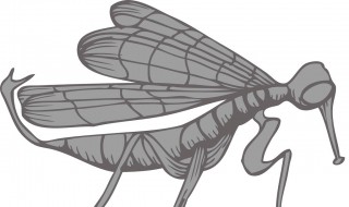 电蚊香片正确使用方法（电蚊香液正确使用方法图解）