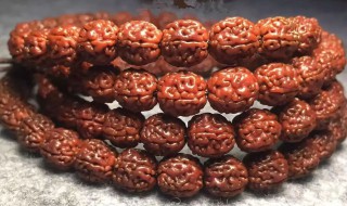 小金刚盘黑了补救方法（金刚盘黑了还能刷红吗）