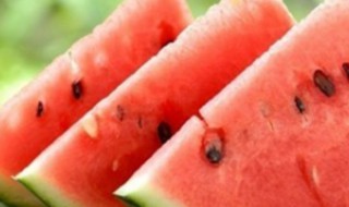 夏天解暑方法 夏天解暑方法的一幅画