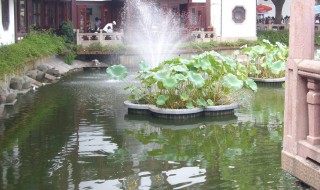 水肥起泡沫怎么处理 水肥水浓怎么处理