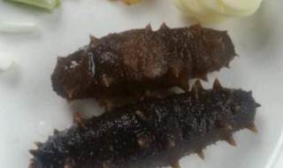 海参的解冻方法（海参解冻方法是用温水还是热水）