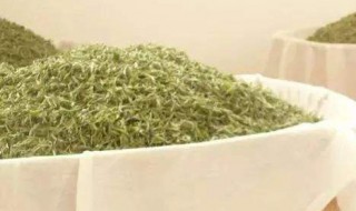 烘干白茶的方法 白茶 烘干