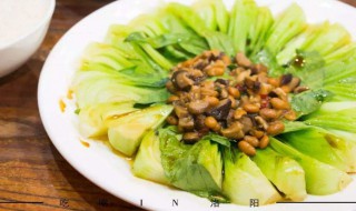 炒青菜保持绿的方法（炒青菜时如何保持青菜翠绿的）