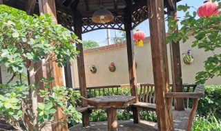 庭院驱鸟的方法（怎样驱赶院子里的鸟）