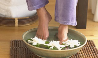 去湿养脾的方法