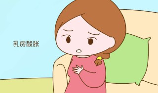 增肥增胸的方法