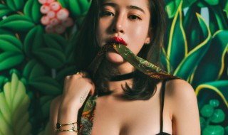 绿茶女什么意思 绿茶女什么意思网络用语