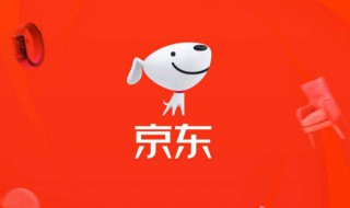 怎样在京东上开网店（怎样在京东上开网店需要什么条件）