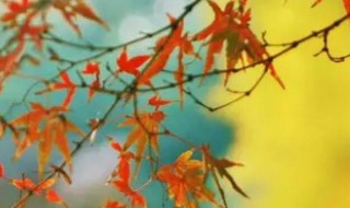 秋分时间（地理春分秋分时间）