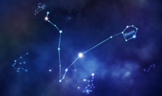 双子子座和什么星座最配 双子座和什么星座搭配?