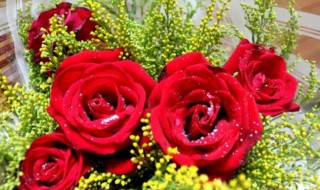 5朵玫瑰花代表什么意思（6朵玫瑰花代表什么意思）