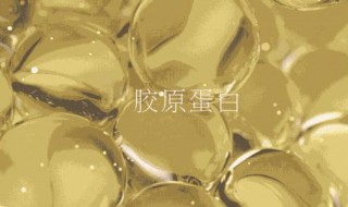 怎么才能补充胶原蛋白 怎样才能补充胶原蛋白