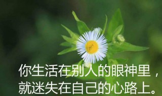 感悟人生句句精美 感悟人生的经典句子走心