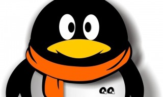 qq闪照怎么弄 qq闪照怎么弄oppo手机