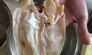鱼胶清洗方法 鱼胶的清洗方法