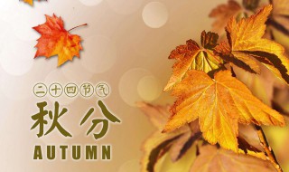 春夏秋冬分别是哪几个月 2024年春夏秋冬分别是哪几个月
