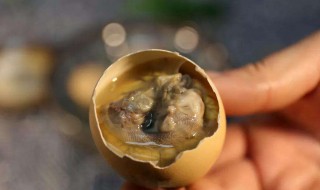 吃活珠子的好处和危害（吃活珠子的好处和危害?）