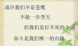 打不死的小强励志词句（打不死的小强励志词句有哪些）