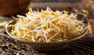 豆芽的营养价值及功效（炒绿豆芽的营养价值及功效）