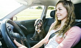 汽车保养主要保养什么项目 汽车保养主要保养什么项目的