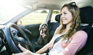 自动档车的档位介绍（自动挡车档位介绍）