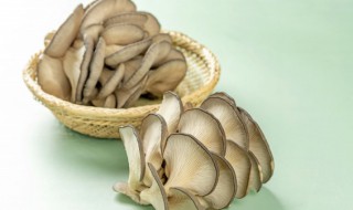 吃蘑菇会胖吗 吃蘑菇会胖吗?