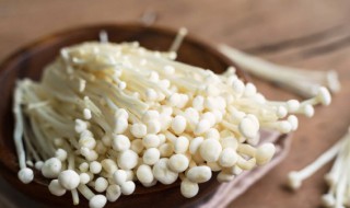 白玉菇长什么样（白玉菇是怎么生长的）
