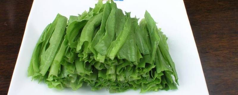 成都凤尾菜又叫什么 成都凤尾是什么菜