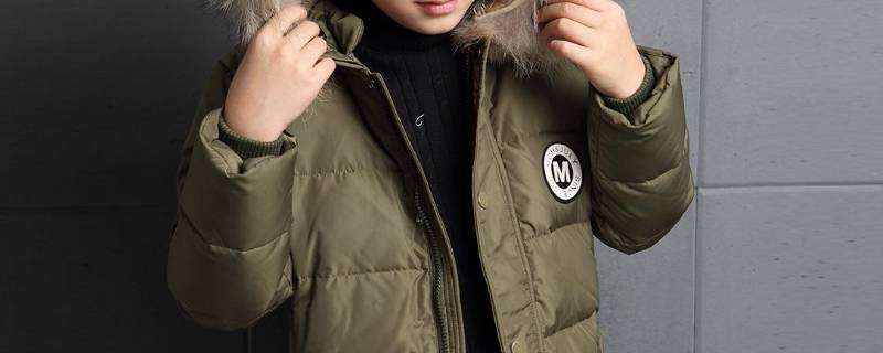 如何去除羽绒服的鸭臭味（如何去除羽绒服的鸭臭味六神）