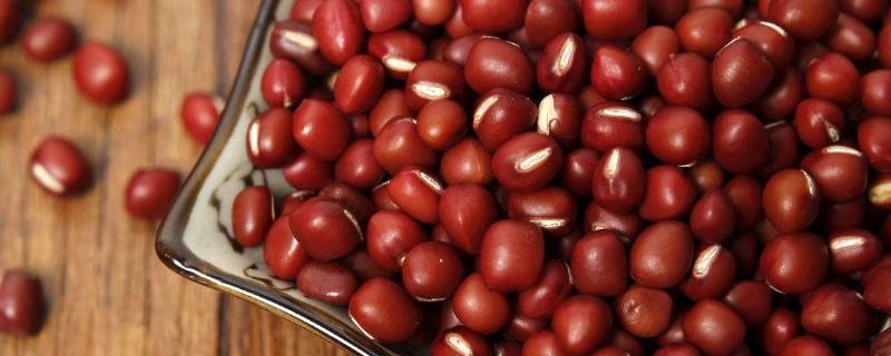 红豆不泡可以直接煮吗 红豆不泡可以直接煮吗百度
